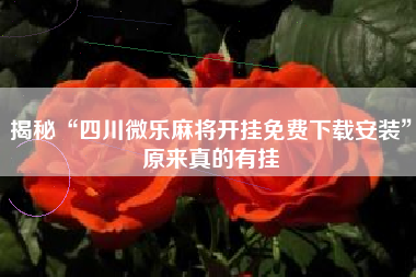 揭秘“四川微乐麻将开挂免费下载安装”原来真的有挂