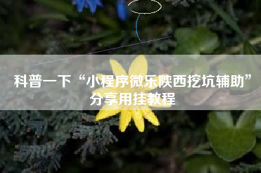 科普一下“小程序微乐陕西挖坑辅助”分享用挂教程