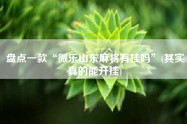 盘点一款“微乐山东麻将有挂吗”(其实真的能开挂)