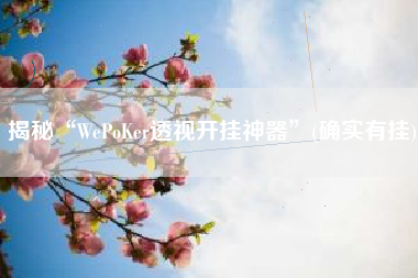揭秘“WePoKer透视开挂神器”(确实有挂)