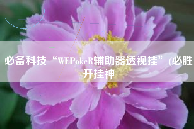 必备科技“WEPokeR辅助器透视挂”(必胜开挂神