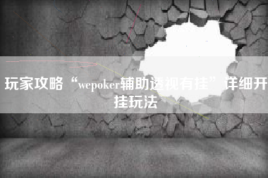 玩家攻略“wepoker辅助透视有挂”详细开挂玩法