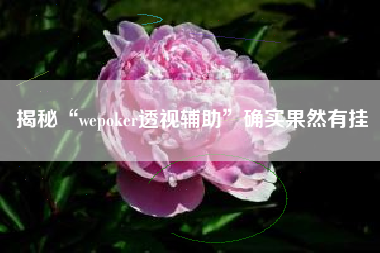 揭秘“wepoker透视辅助”确实果然有挂