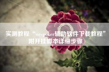 实测教程“we-poker辅助软件下载教程”附开挂脚本详细步骤