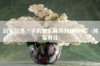 玩家综述“手机微乐麻将开挂视频	”(其实有挂)