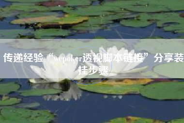 传递经验“wepoker透视脚本链接”分享装挂步骤
