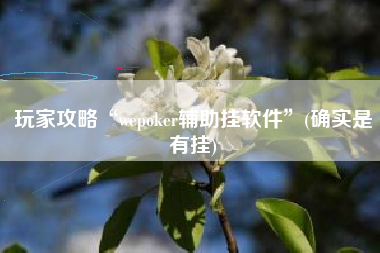 玩家攻略“wepoker辅助挂软件”(确实是有挂)
