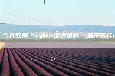 今日教程“wepOKer能透视吗	”(真的有挂)