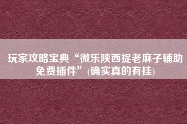 玩家攻略宝典“微乐陕西捉老麻子辅助免费插件”(确实真的有挂)
