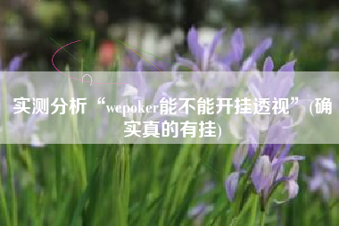 实测分析“wepoker能不能开挂透视”(确实真的有挂)