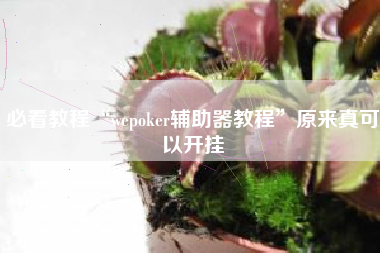 必看教程“wepoker辅助器教程”原来真可以开挂