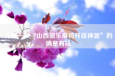 介绍一款“山西微乐麻将开挂神器	”的确是有挂