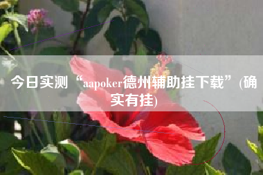 今日实测“aapoker德州辅助挂下载	”(确实有挂)