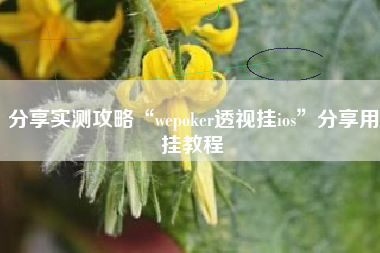 分享实测攻略“wepoker透视挂ios	”分享用挂教程