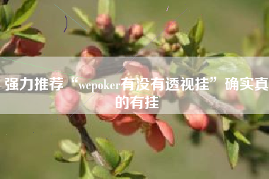强力推荐“wepoker有没有透视挂”确实真的有挂