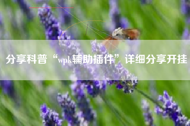 分享科普“wpk辅助插件”详细分享开挂