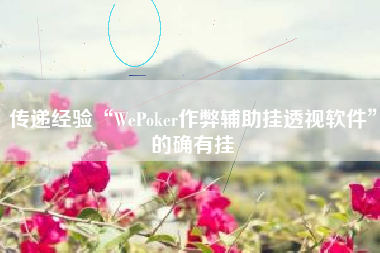 传递经验“WePoker作弊辅助挂透视软件”的确有挂