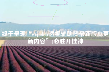 终于呈现“wepoker透视辅助器最新版本更新内容”(必胜开挂神