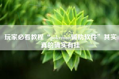 玩家必看教程“pokemon辅助软件”其实真的确实有挂