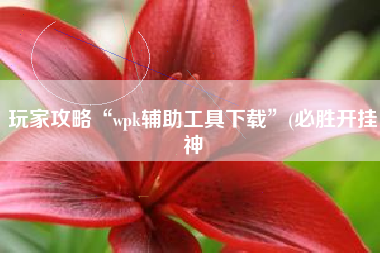 玩家攻略“wpk辅助工具下载”(必胜开挂神