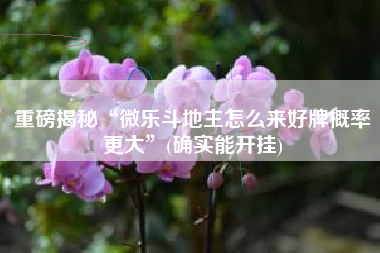 重磅揭秘“微乐斗地主怎么来好牌概率更大	”(确实能开挂)