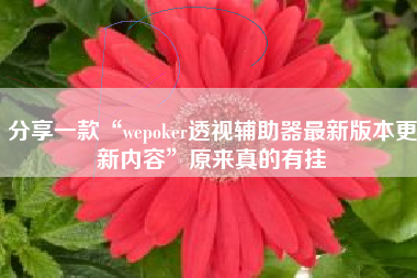 分享一款“wepoker透视辅助器最新版本更新内容	”原来真的有挂