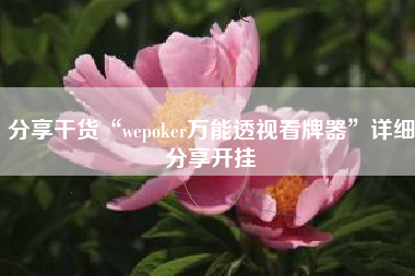 分享干货“wepoker万能透视看牌器”详细分享开挂