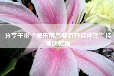 分享干货“微乐南昌麻将开挂神器”挂辅助教程