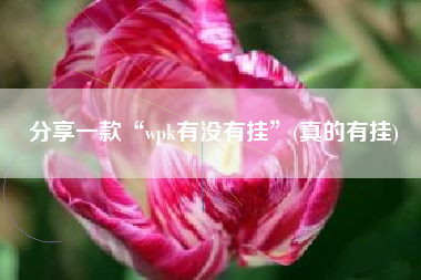 分享一款“wpk有没有挂	”(真的有挂)