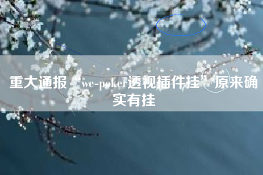 重大通报“we-poker透视插件挂”原来确实有挂