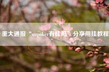 重大通报“uupoker有挂吗	”分享用挂教程