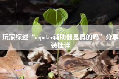 玩家综述“aapoker辅助器是真的吗	”分享装挂详