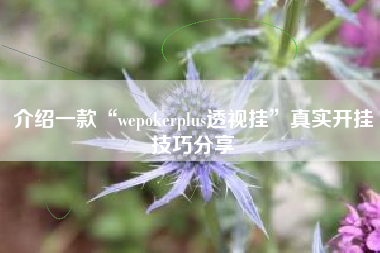 介绍一款“wepokerplus透视挂”真实开挂技巧分享
