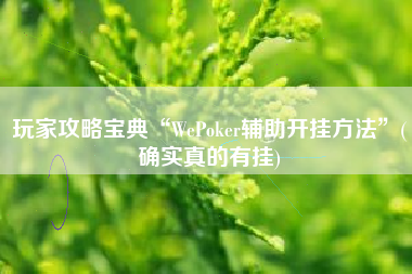 玩家攻略宝典“WePoker辅助开挂方法	”(确实真的有挂)