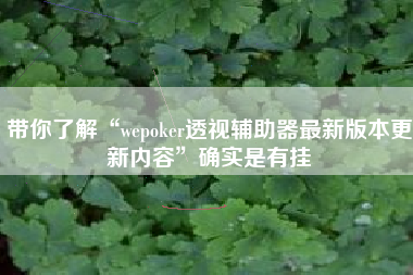 带你了解“wepoker透视辅助器最新版本更新内容”确实是有挂