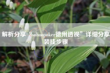 解析分享“sohoopoker德州透视	”详细分享装挂步骤