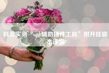 科普实测“wpk辅助插件工具”附开挂脚本详细