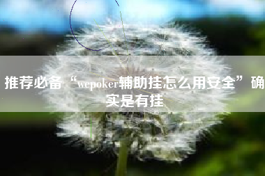 推荐必备“wepoker辅助挂怎么用安全”确实是有挂