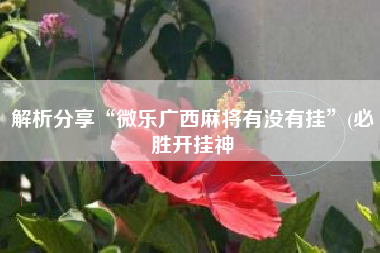 解析分享“微乐广西麻将有没有挂”(必胜开挂神