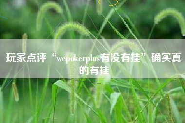 玩家点评“wepokerplus有没有挂	”确实真的有挂