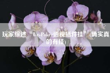 玩家综述“We-Poker透视插件挂”(确实真的有挂)