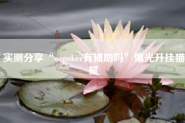 实测分享“wepoker有辅助吗	”爆光开挂猫腻