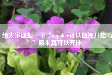 给大家通报一下“wepoker可以透视开挂吗”原来真可以开挂