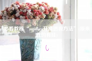 必看教程“aapoker开挂透视方法”(原来真的有挂)