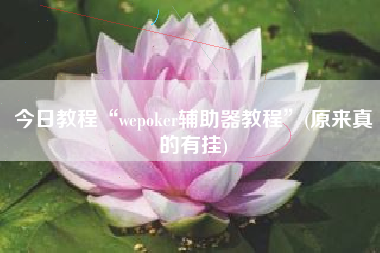 今日教程“wepoker辅助器教程”(原来真的有挂)