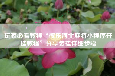 玩家必看教程“微乐河北麻将小程序开挂教程”分享装挂详细步骤