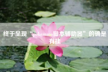 终于呈现“pokemmo脚本辅助器	”的确是有挂
