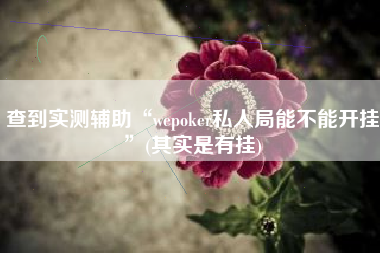 查到实测辅助“wepoker私人局能不能开挂”(其实是有挂)