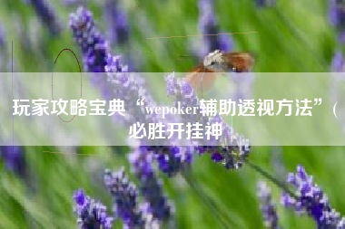玩家攻略宝典“wepoker辅助透视方法	”(必胜开挂神