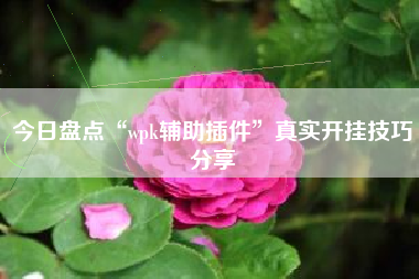 今日盘点“wpk辅助插件	”真实开挂技巧分享